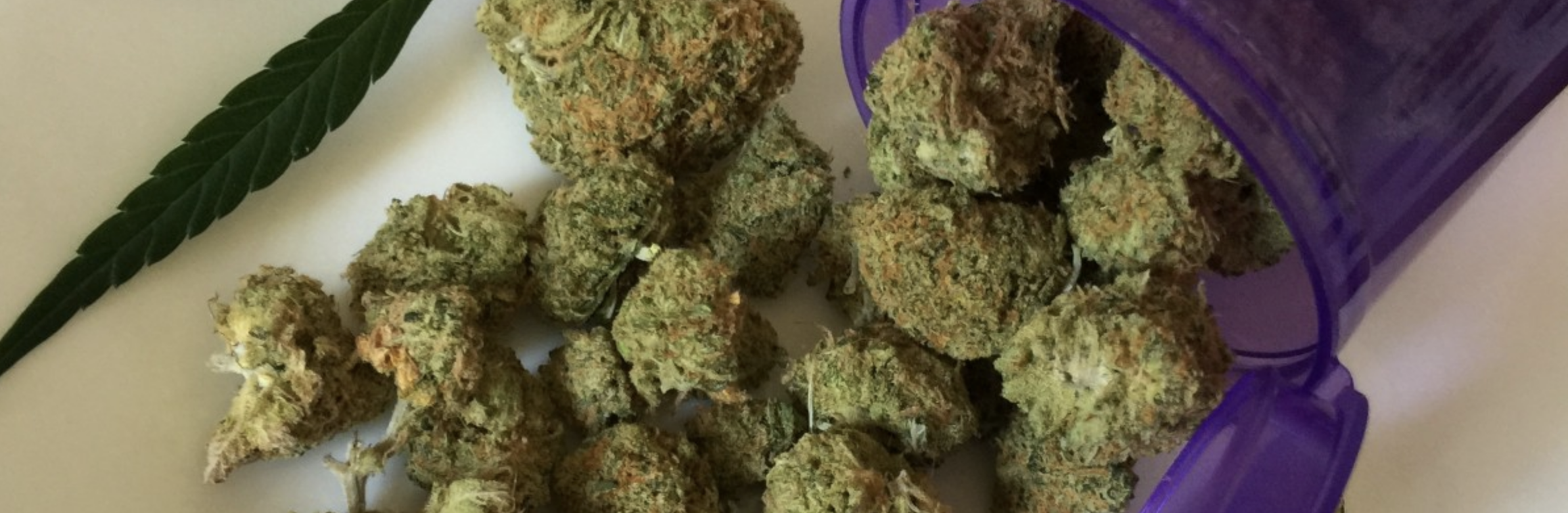 Us And Weed Tumblr Us And Weed Tumblr